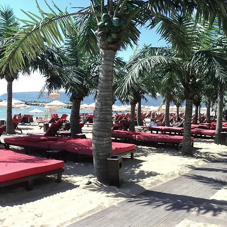 Sunny Panoramic *